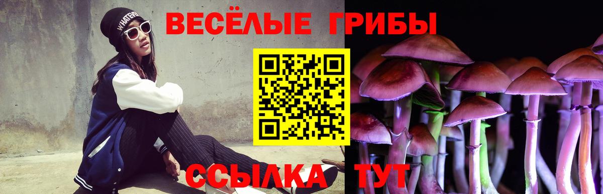 Галлюциногенные грибы прущие грибы  Галлюциногенные грибы ЛСД  Ленинск-Кузнецкий  Вход с VPN 